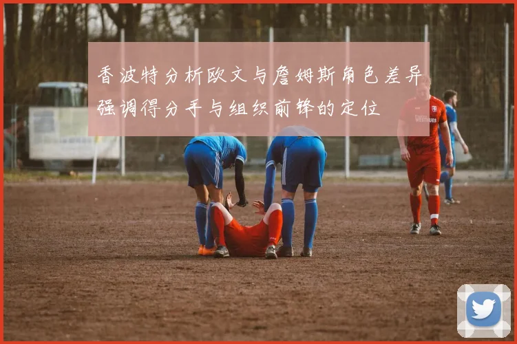 香波特分析欧文与詹姆斯角色差异强调得分手与组织前锋的定位